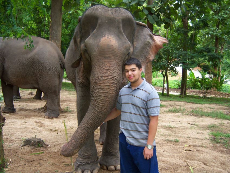 Northern Thailand, July 15, 2008: What's this ??  Well this is the most astonishing photo of the year 2008 for the Becker family: my then-15 year old son Lucas participated in Lucas participated in a one week training program in Thailand where he learned to take care of an elephant. The 
